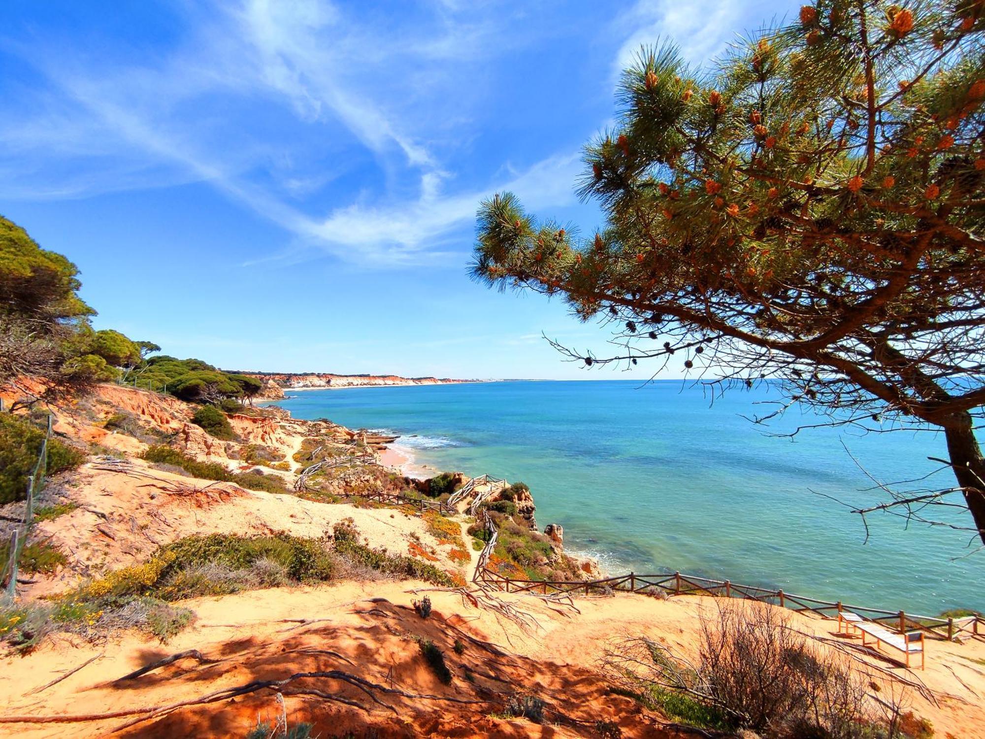 Modern Ocean, Garden & Pool View Condo By Becherish Albufeira Dış mekan fotoğraf